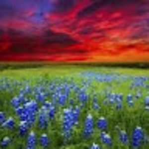 Meet your Posher, Neilyn